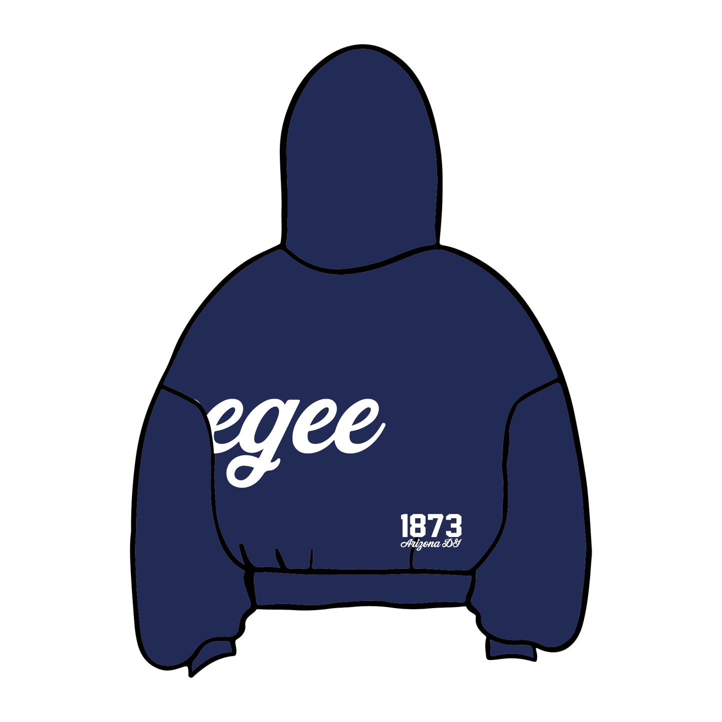 University of Arizona x Delta Gamma 'Spring Favors 2025' Hoodie