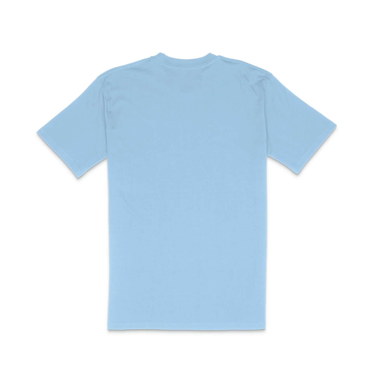 Washington State University x Sigma Kappa 'Rush 2025' Tee