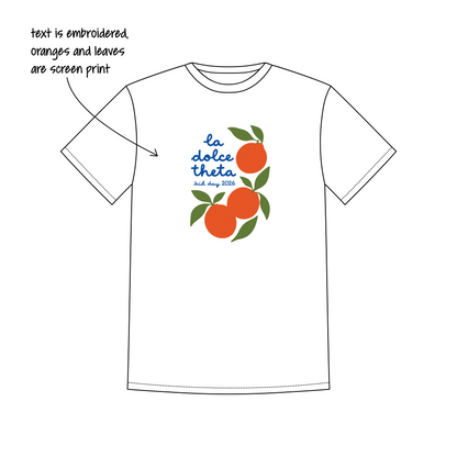 University of Washington x Kappa Alpha Theta 'Bid Day 2026' Leo T-Shirt