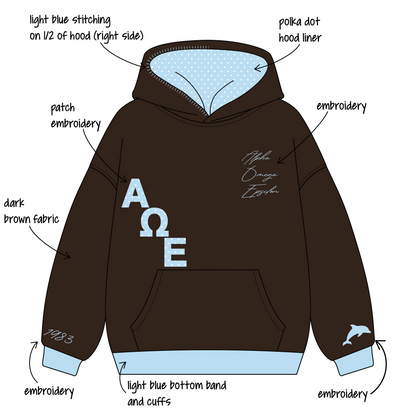 University of Delaware x Alpha Omega Epsilon 'Fall Merch' Signature Hoodie
