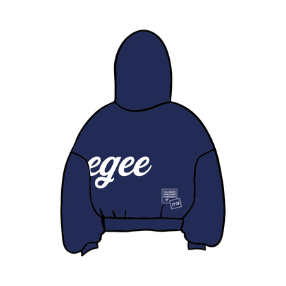 Ohio State University x Delta Gamma 'Collegiate Development Consultant' Hoodie