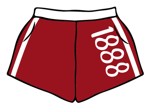 University of Wisconsin-Madison x Delta Delta Delta 'Work Week ‘25' Sweatshorts