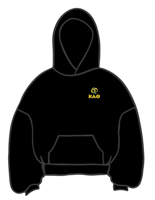 University of Wisconsin-Madison x Kappa Alpha Theta 'Embroidered' Hoodie